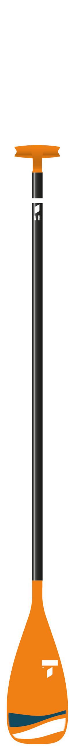 TAHE SUP Paddle Beach Alu Fix 170