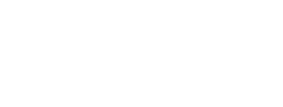 Surflogic Logo